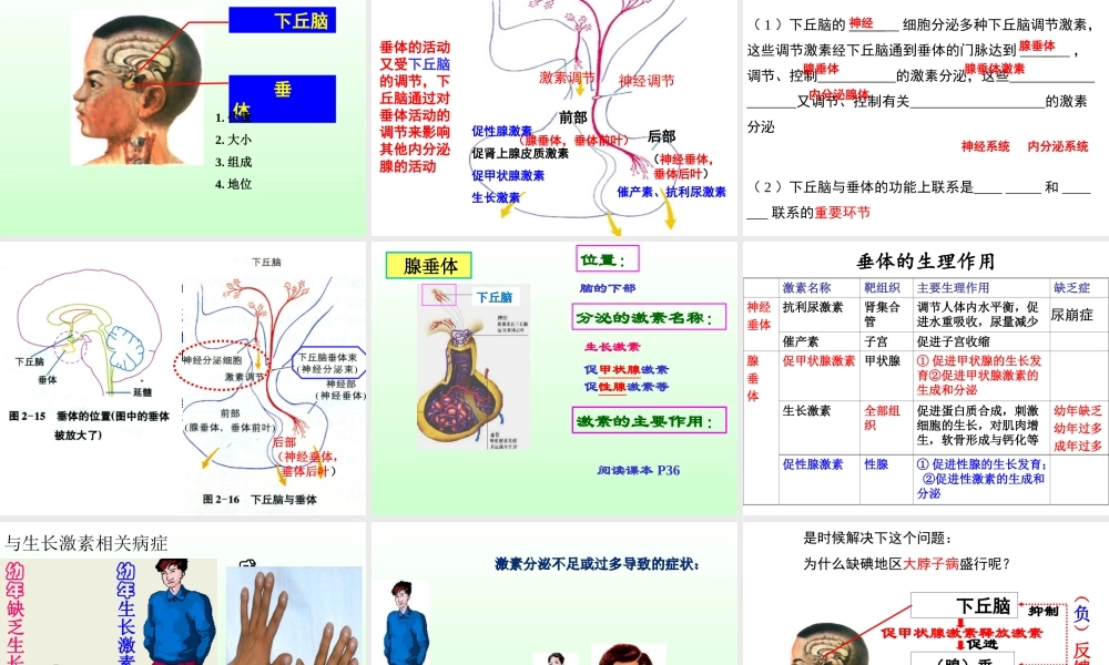 必修3、3-2、内分泌系统与体液调节.ppt
