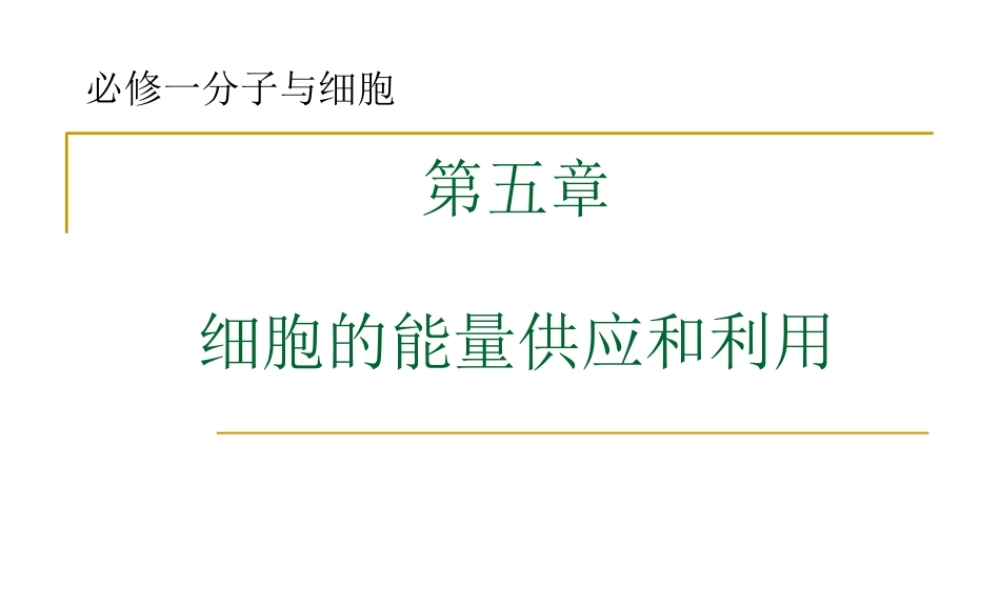 必修一-第5章-细胞的能量供应和利用2013.ppt