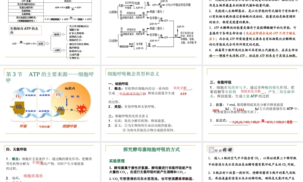 必修一-第5章-细胞的能量供应和利用2013.ppt