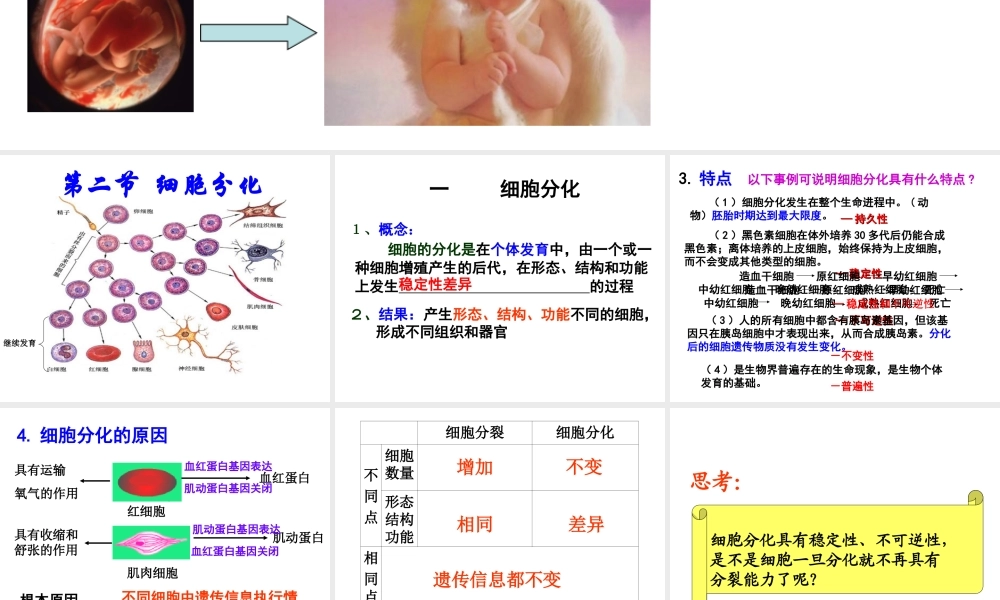 必修一细胞分化.ppt