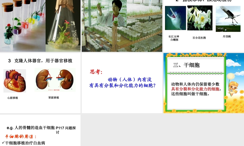 必修一细胞分化.ppt