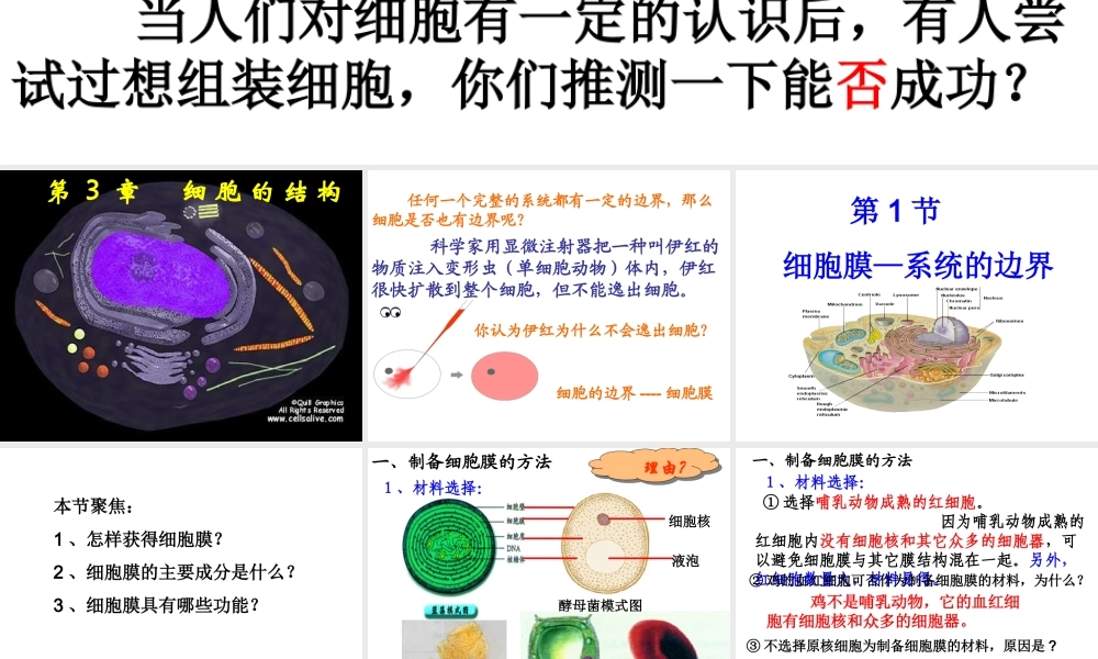 必修一31细胞膜.ppt