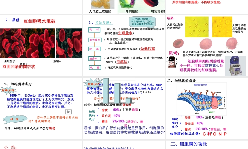 必修一31细胞膜.ppt