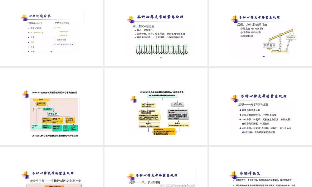 快速性心律失常急诊处理策略.ppt