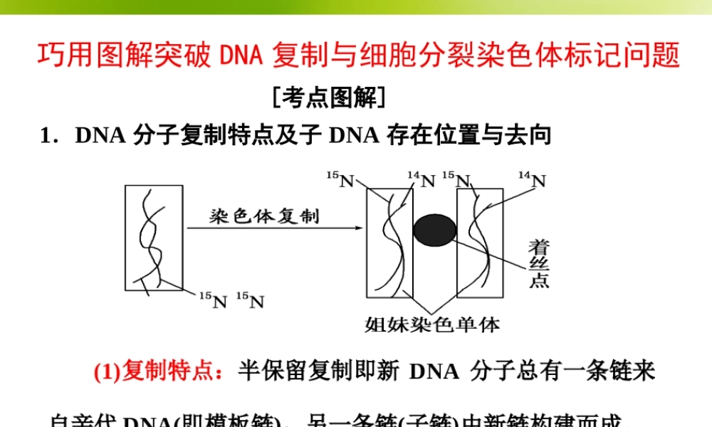 必修2第二单元第4讲-巧用图解-突破DNA复制与细胞分裂中染色体标记问题.ppt