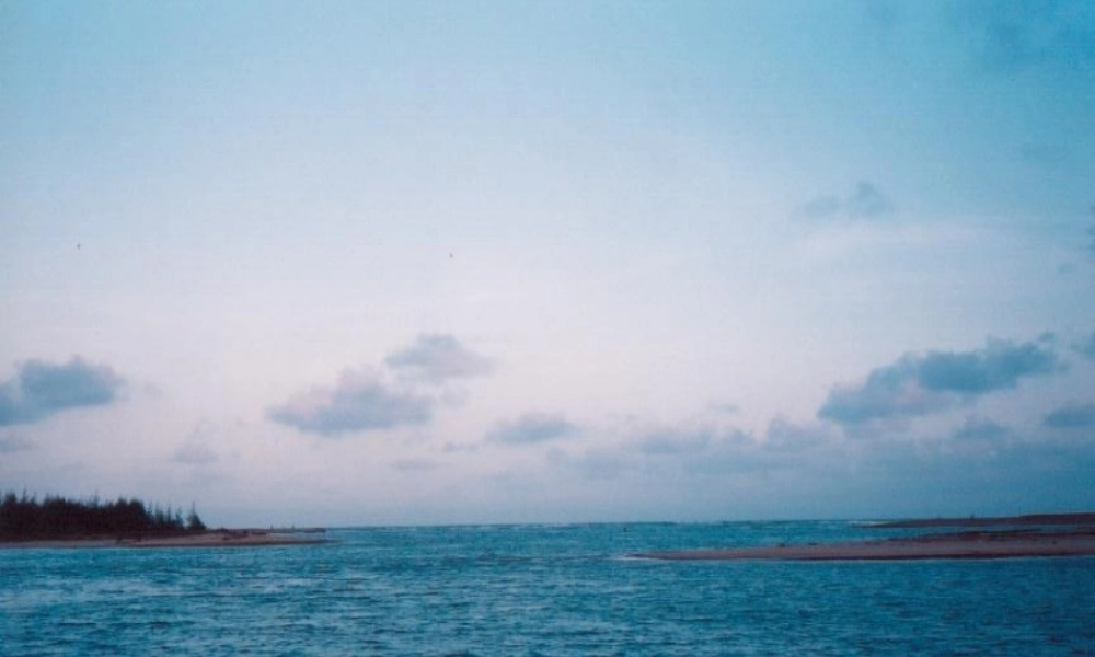 怎样做好查房.ppt