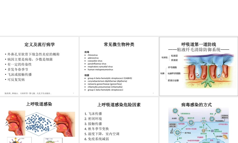 急性上呼吸道感染及相关问题.ppt