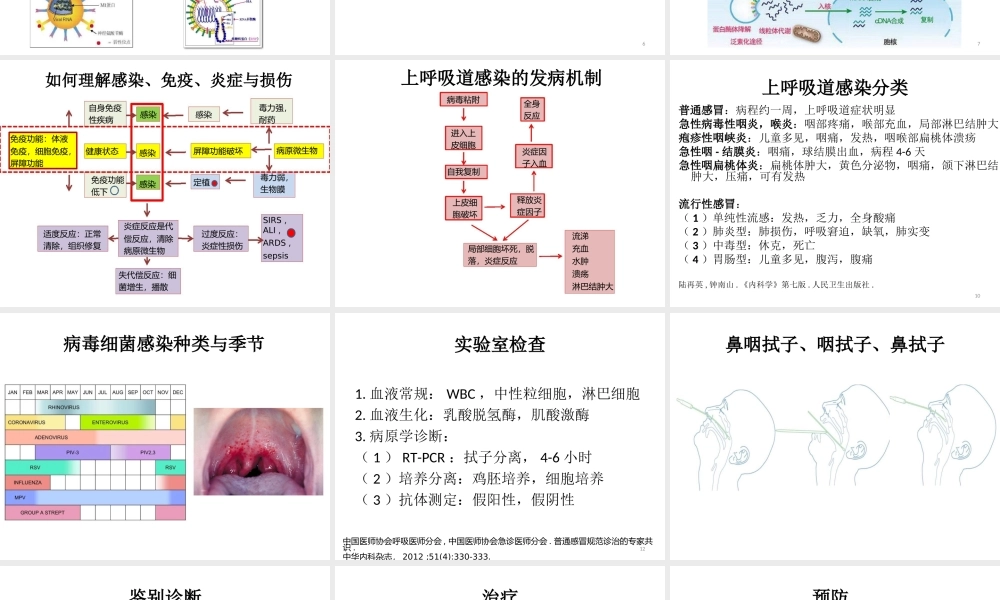 急性上呼吸道感染及相关问题.ppt
