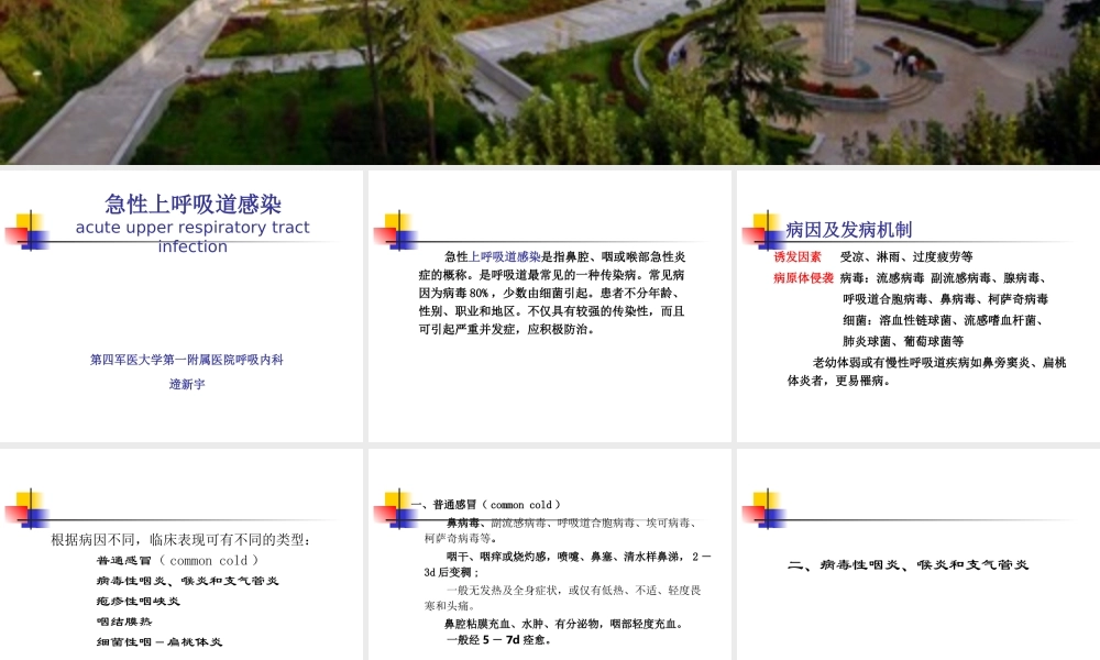 急性上呼吸道感染浅论.ppt