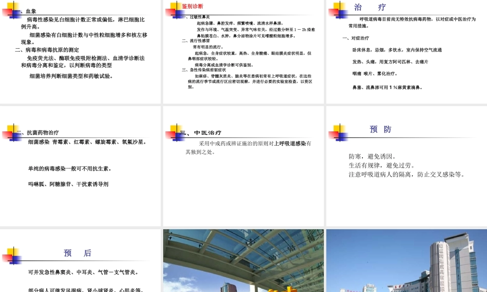 急性上呼吸道感染浅论.ppt