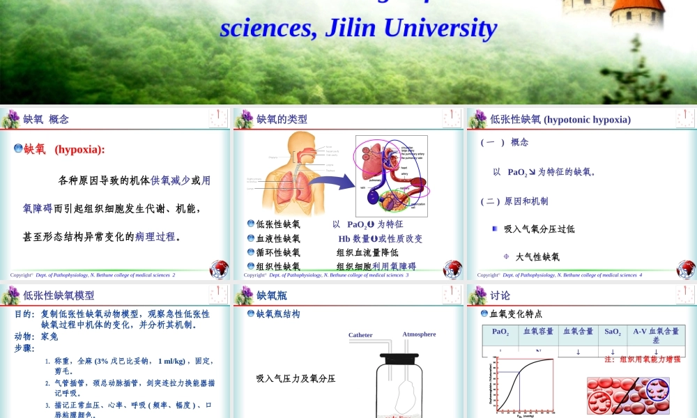 急性低张性缺氧对机体的影响.ppt