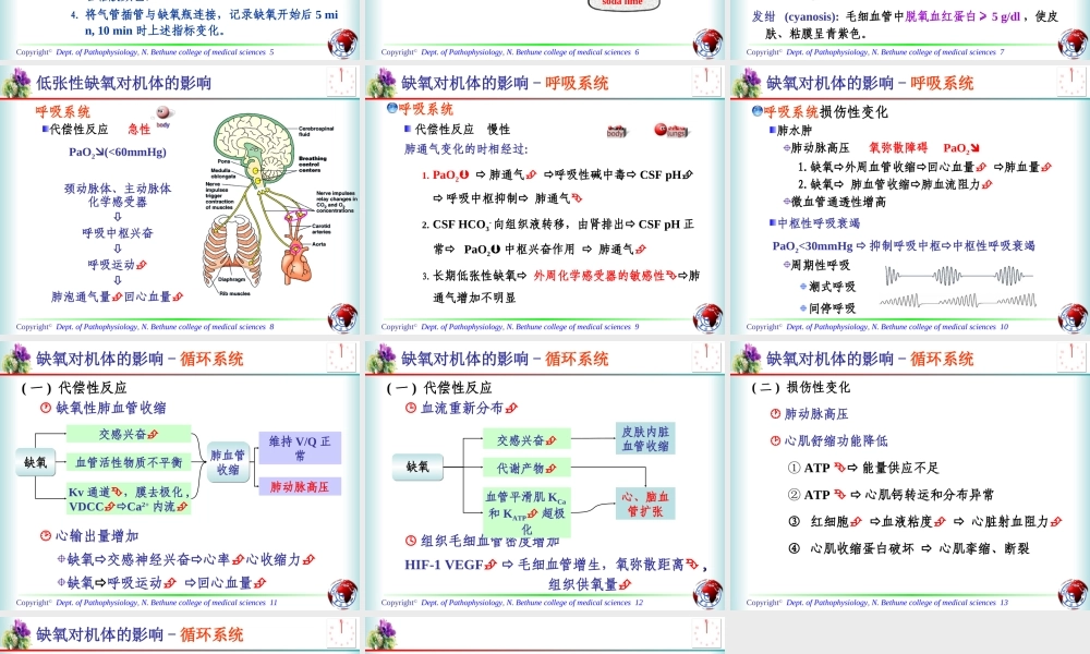 急性低张性缺氧对机体的影响.ppt