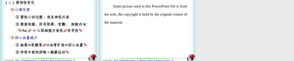 急性低张性缺氧对机体的影响.ppt
