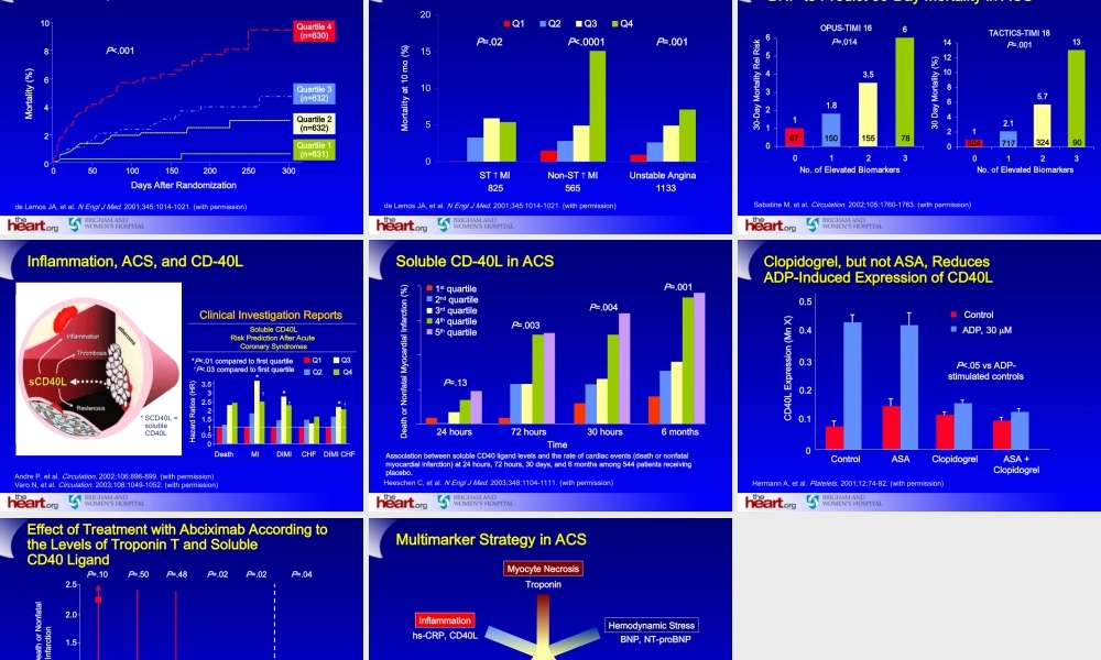 急性冠脉综合征评估及危险分层.ppt
