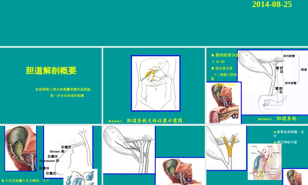 急性化脓性梗阻性胆管炎.ppt