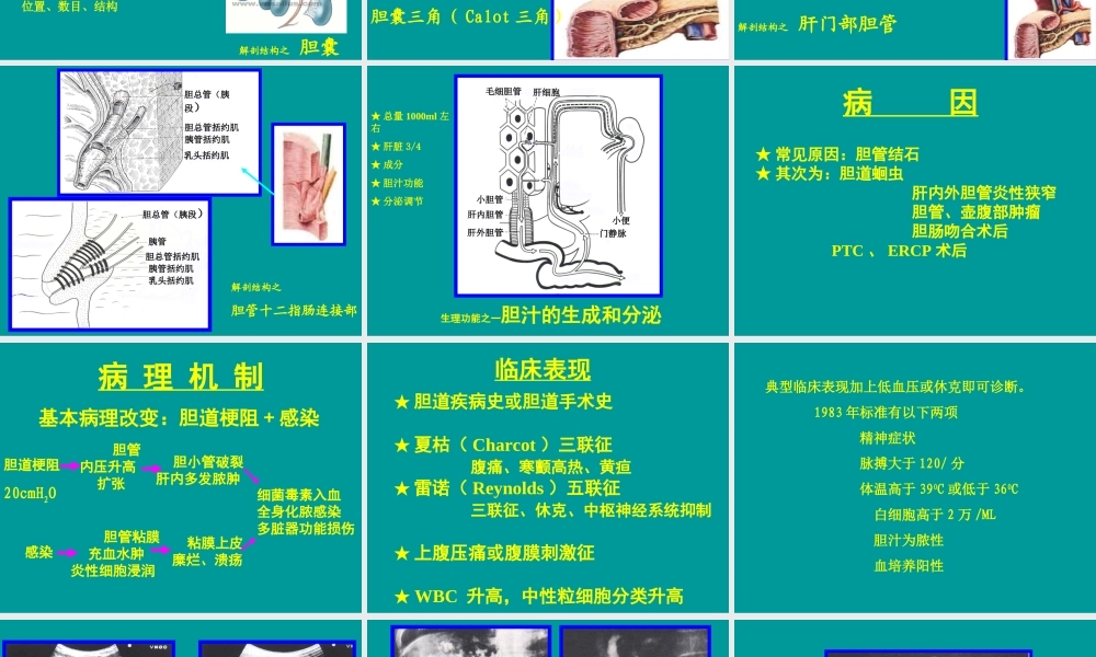 急性化脓性梗阻性胆管炎.ppt