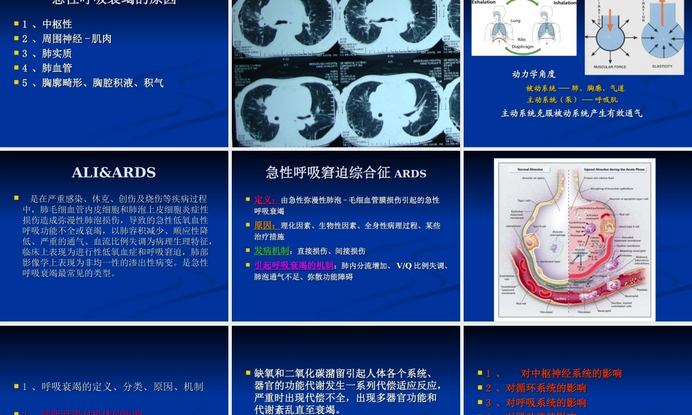 急性呼吸功能衰竭.ppt