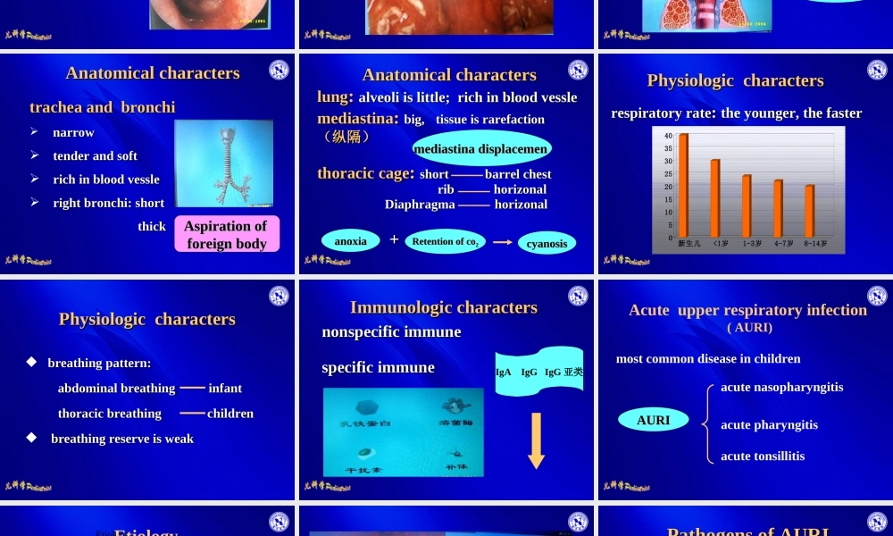 急性呼吸道感染-04级八年制.ppt