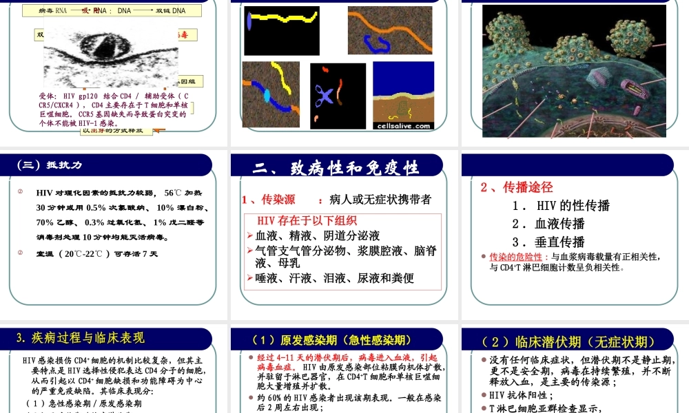 急性感染的早期HIV抗体不能被检测.ppt