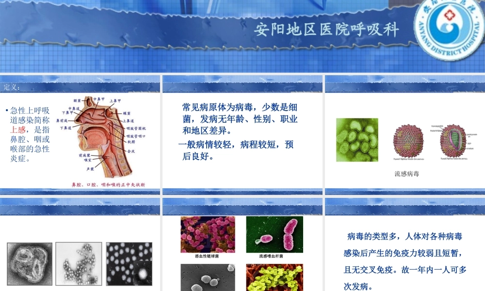 急性慢性支气管炎.ppt