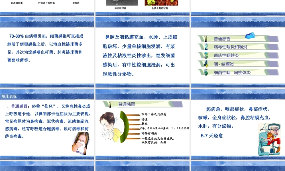 急性慢性支气管炎.ppt