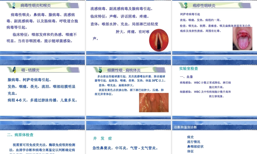 急性慢性支气管炎.ppt