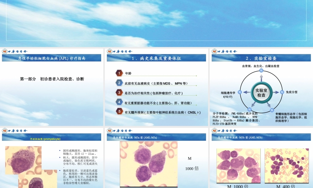 急性早幼粒细胞白血病(APL)-王宙政.ppt