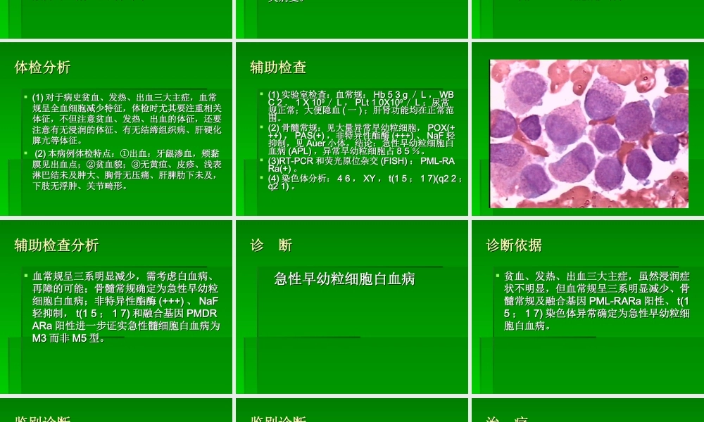 急性早幼粒细胞白血病详解.ppt