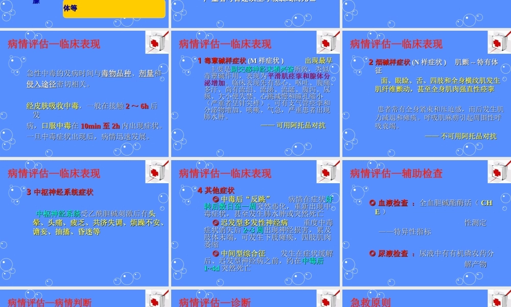 急性有机磷农药中毒(1).ppt