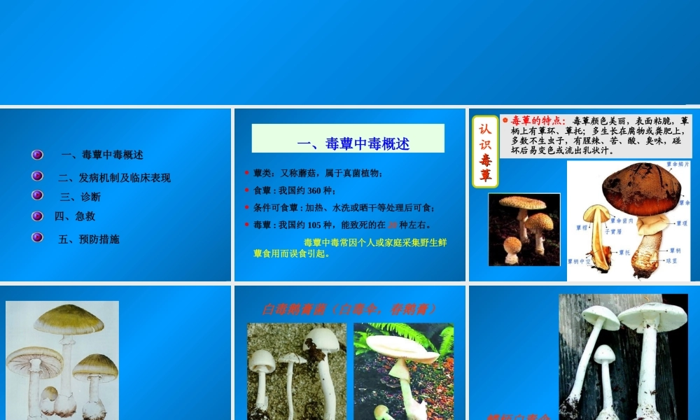 急性毒蕈中毒.ppt