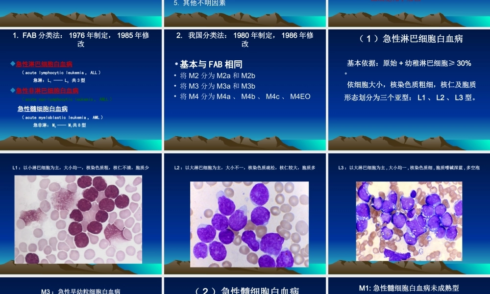 急性白血病检验.ppt