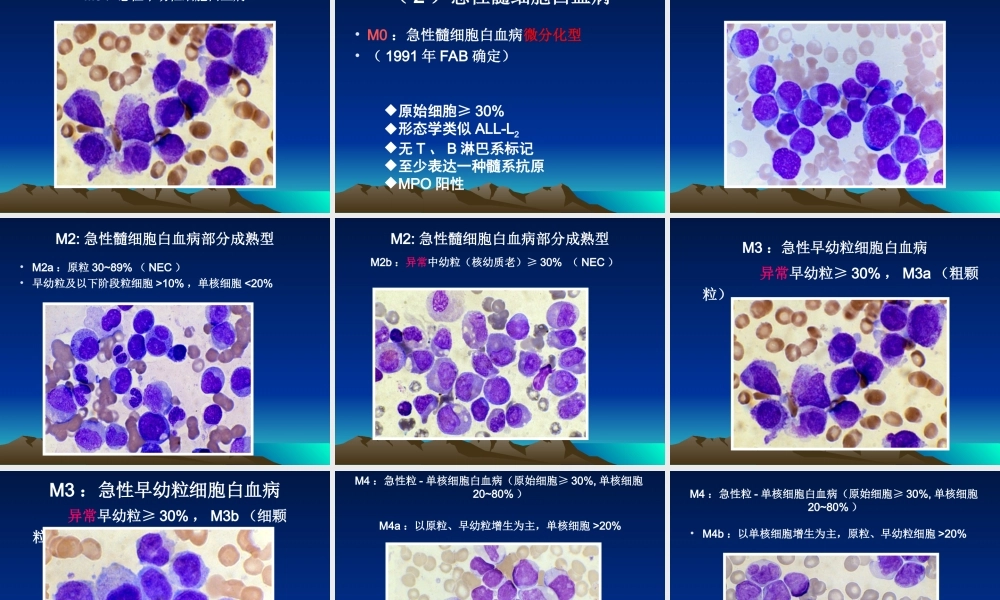 急性白血病检验.ppt