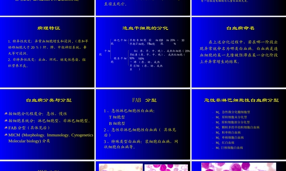 急性白血病蓝色-修改(有图).ppt