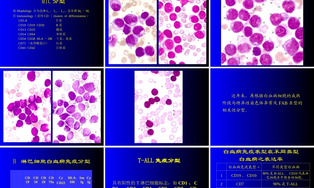 急性白血病蓝色-修改(有图).ppt