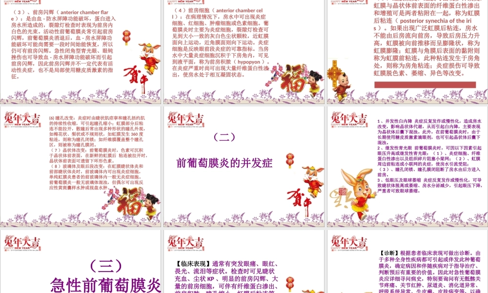 急性结膜炎、急性虹膜炎、急性闭角型青光眼.ppt