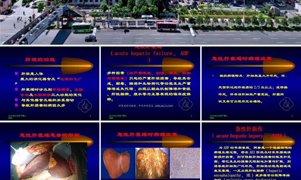 急性肝功能衰竭的防治.ppt