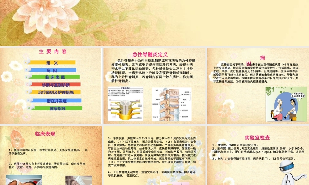 急性脊髓炎概要.ppt