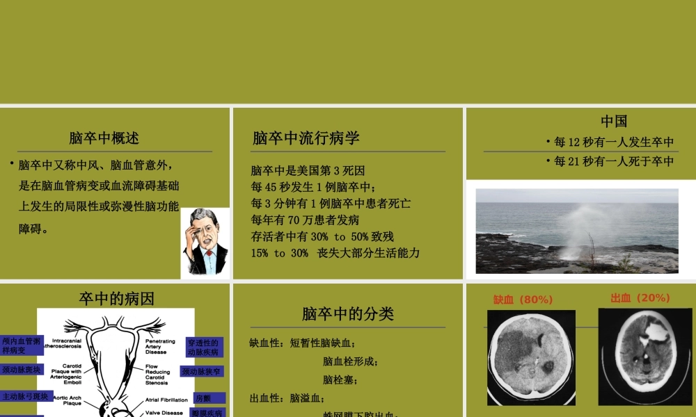 急性脑卒中的急救.ppt