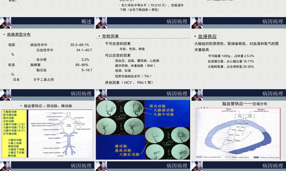 急性脑血管病1浅论.ppt