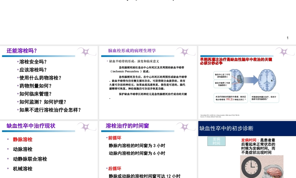 急性脑梗塞溶栓成功关键因素概论.ppt