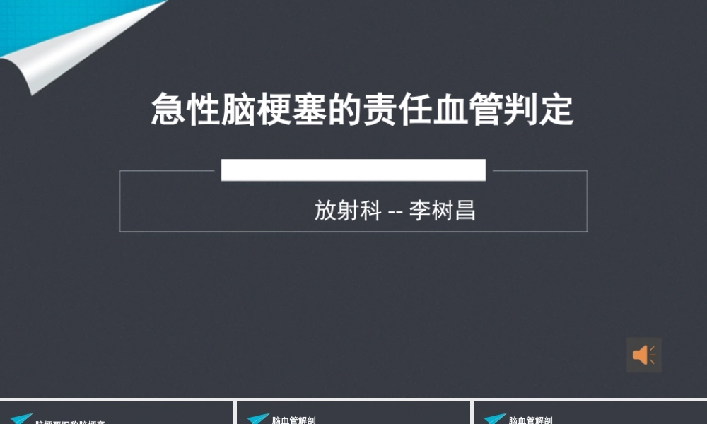 急性脑梗塞的责任血管判定.pptx