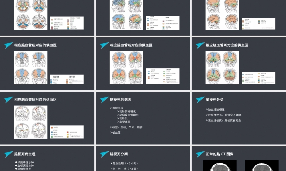 急性脑梗塞的责任血管判定.pptx