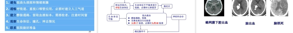 急性脑血管病的识别与转诊-林艾羽.ppt
