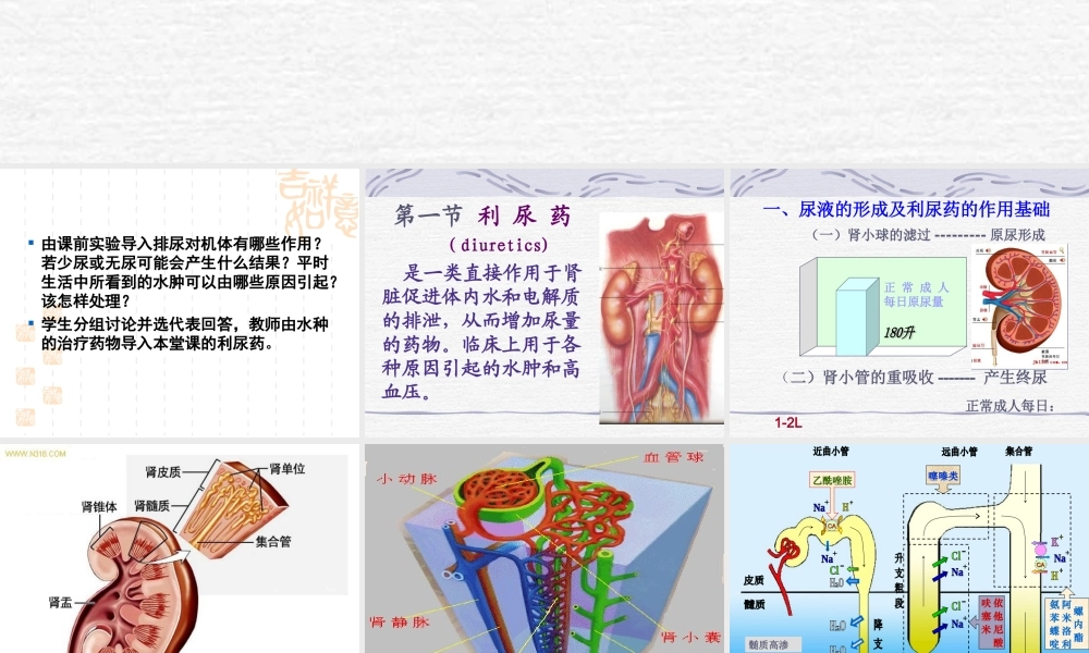 利尿剂和脱水药.ppt