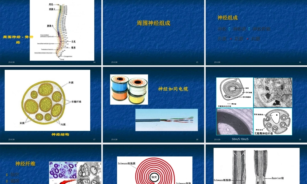 周围神经病变-oyf制作.ppt