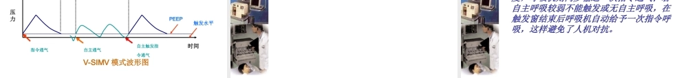 呼吸机的应用.ppt