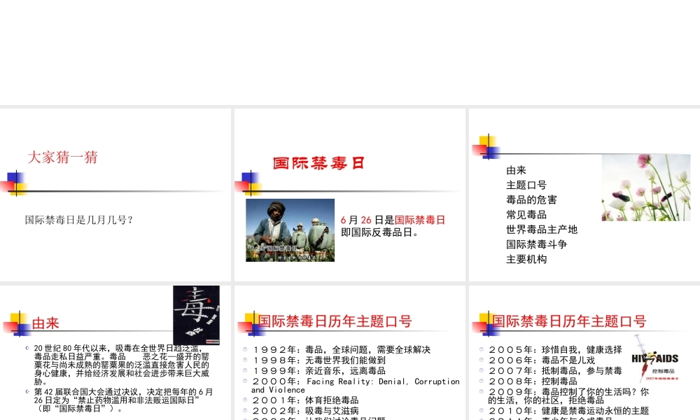 国际禁毒日.ppt