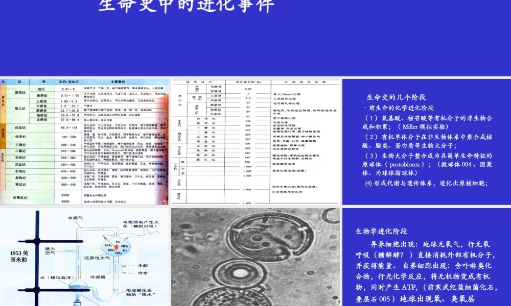 地球的生命史.ppt