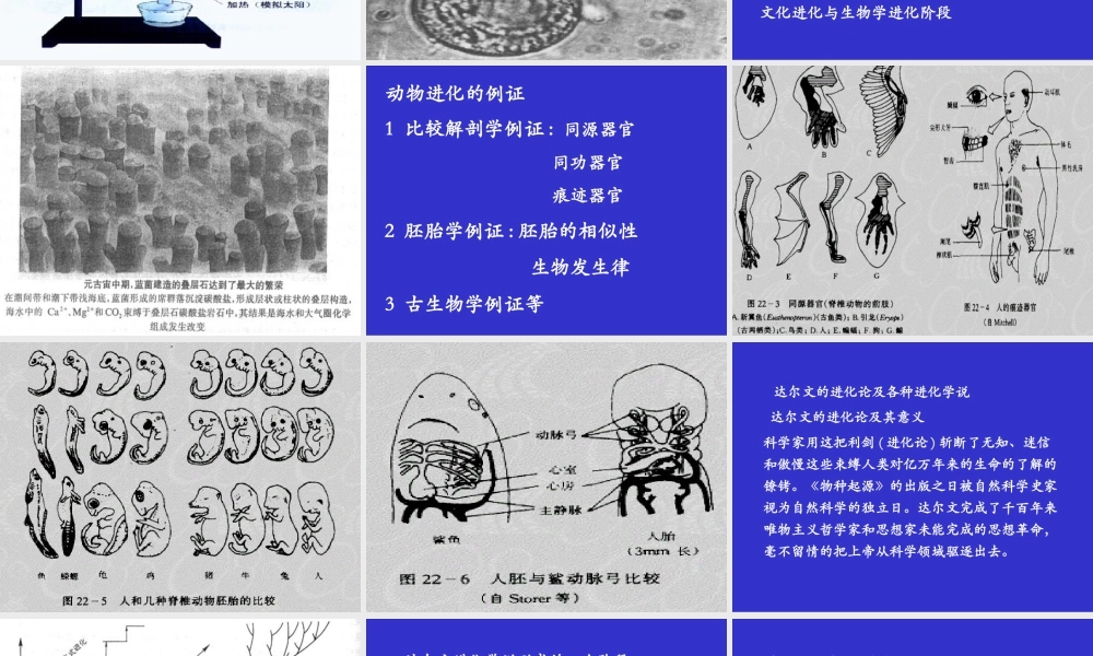 地球的生命史.ppt