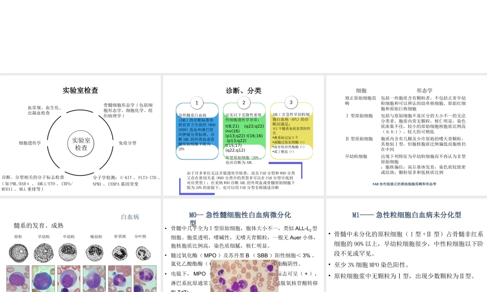 急性非淋巴细胞白血病.ppt